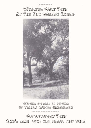 WILCOX FAMILY PICTURES 25